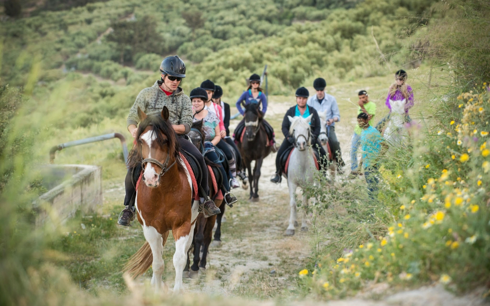 Horse Riding