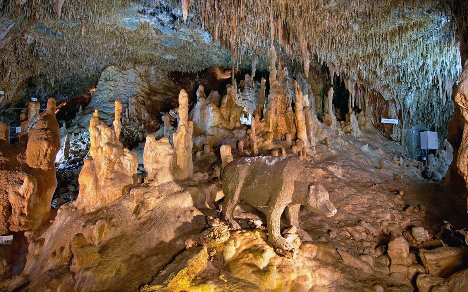 Σπήλαιο Πετραλώνων